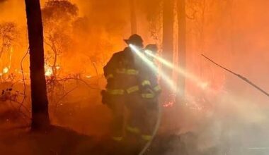 Brush fire strikes Stuart in early morning blaze | Martin County