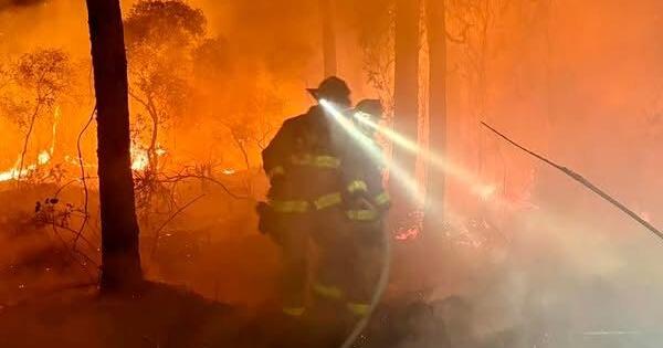 Brush fire strikes Stuart in early morning blaze | Martin County