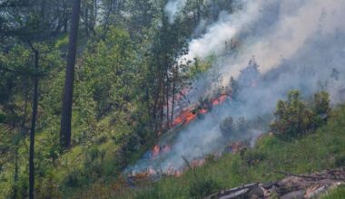 Prescribed burns near Jacksonville BLM land on May 14th | FireWatch