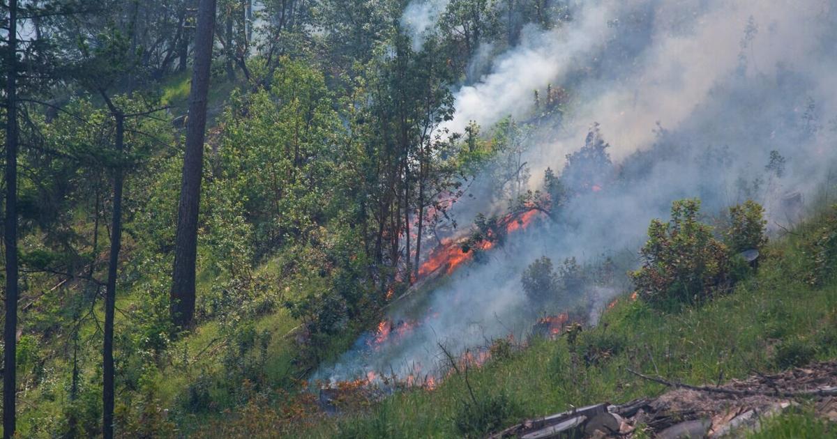 Prescribed burns near Jacksonville BLM land on May 14th | FireWatch