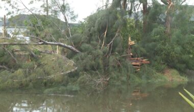 Cape Coral neighbors recovering after tornado swept over neighborhood | Lee County