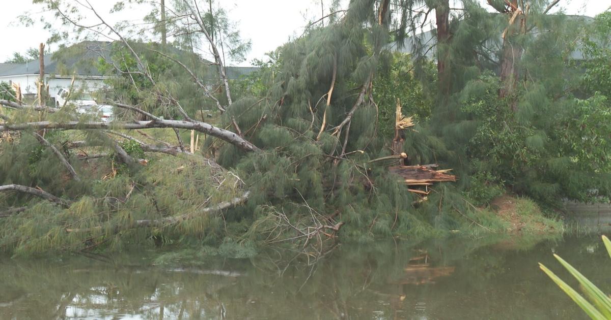 Cape Coral neighbors recovering after tornado swept over neighborhood | Lee County