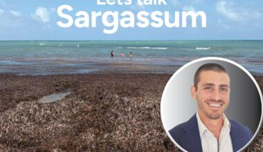 Turning beach sargassum into sustainable fish feed | Key Biscayne