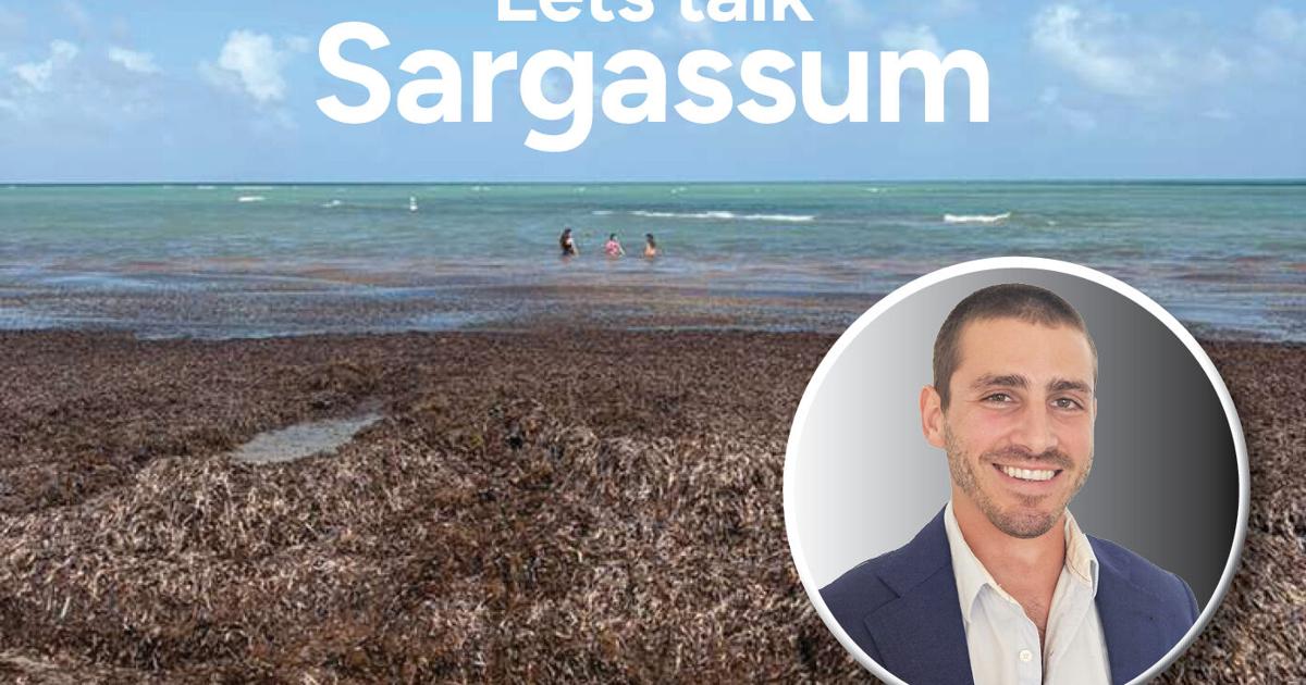 Turning beach sargassum into sustainable fish feed | Key Biscayne