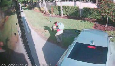 Bonita Springs teen hit by car boarding school bus, grandparents urge driver to slow down | Lee County