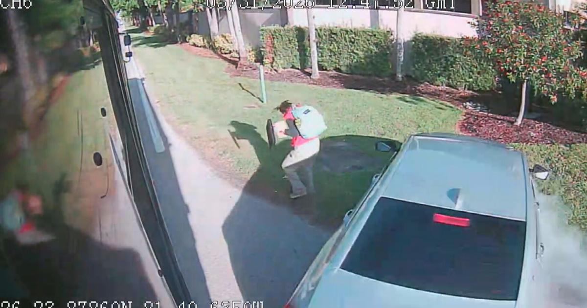 Bonita Springs teen hit by car boarding school bus, grandparents urge driver to slow down | Lee County