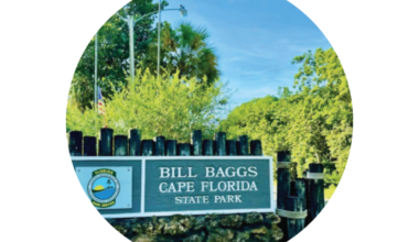 A letter from Bill Baggs | Columnists