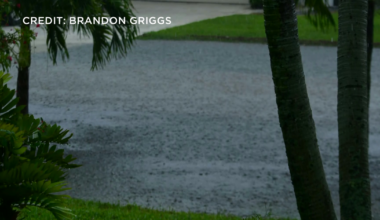 Cape Coral neighborhood underwater after quick but powerful storm | Lee County