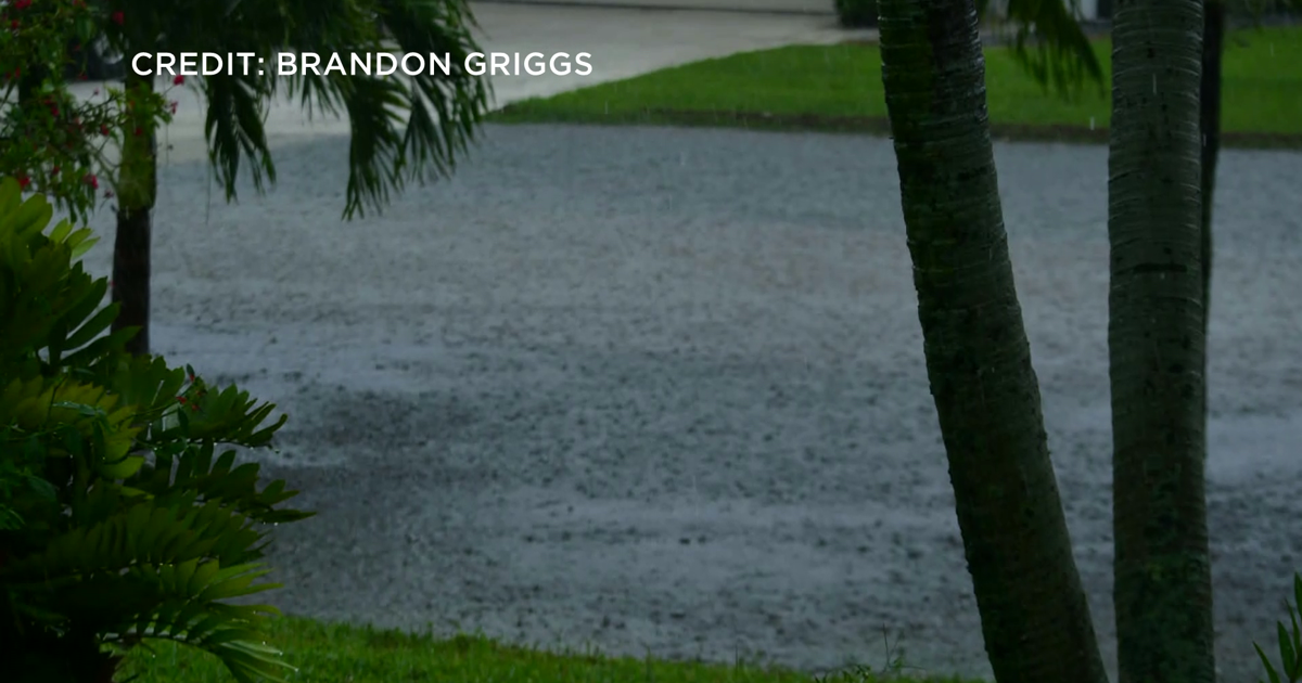 Cape Coral neighborhood underwater after quick but powerful storm | Lee County