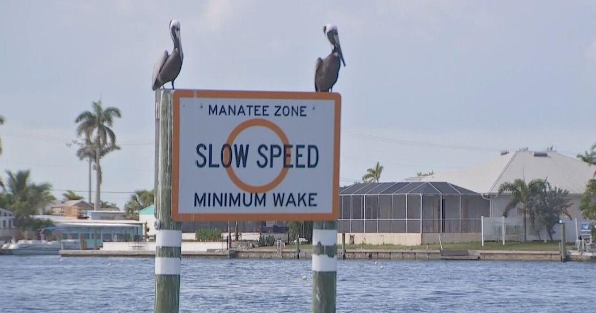 Matlacha residents call for crackdown on speeding boats in the pass | WINK Listens