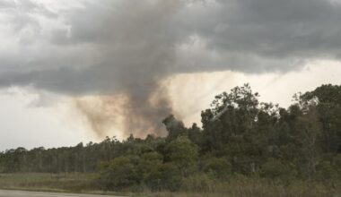 Multiple brush fires reported after storms move through Charlotte County; 1 active now | Charlotte County