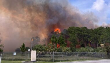 Brush fire prompts major emergency response in Miami | Miami