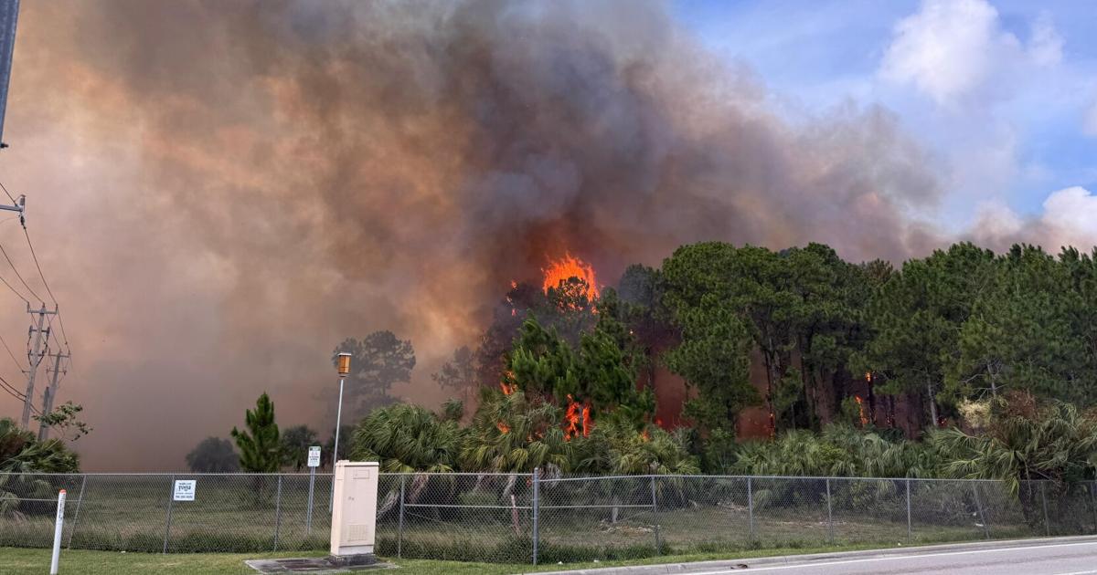 Brush fire prompts major emergency response in Miami | Miami