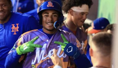 De Oleo hits go-ahead homer, Mets rally past Cardinals 4-2 | Sports