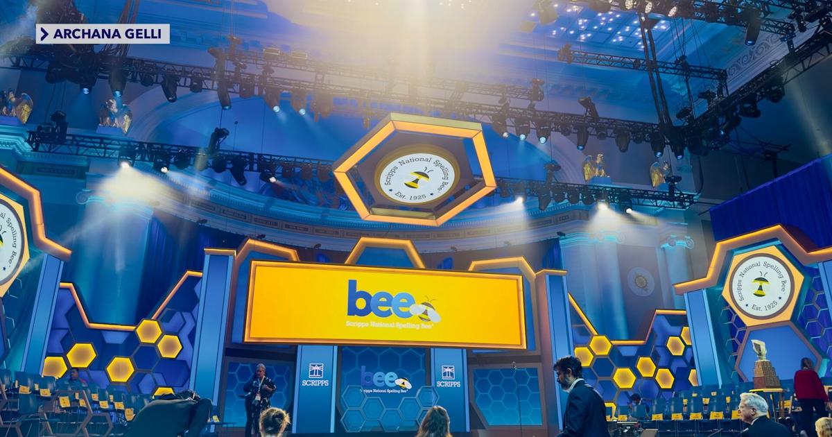 Collier, Lee County students shine on national spelling stage | News
