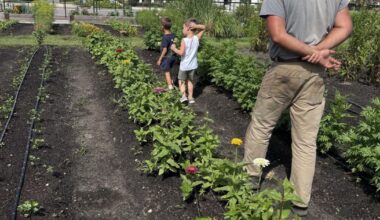 Newfield Farm was all abuzz during World Bee Day | Martin County