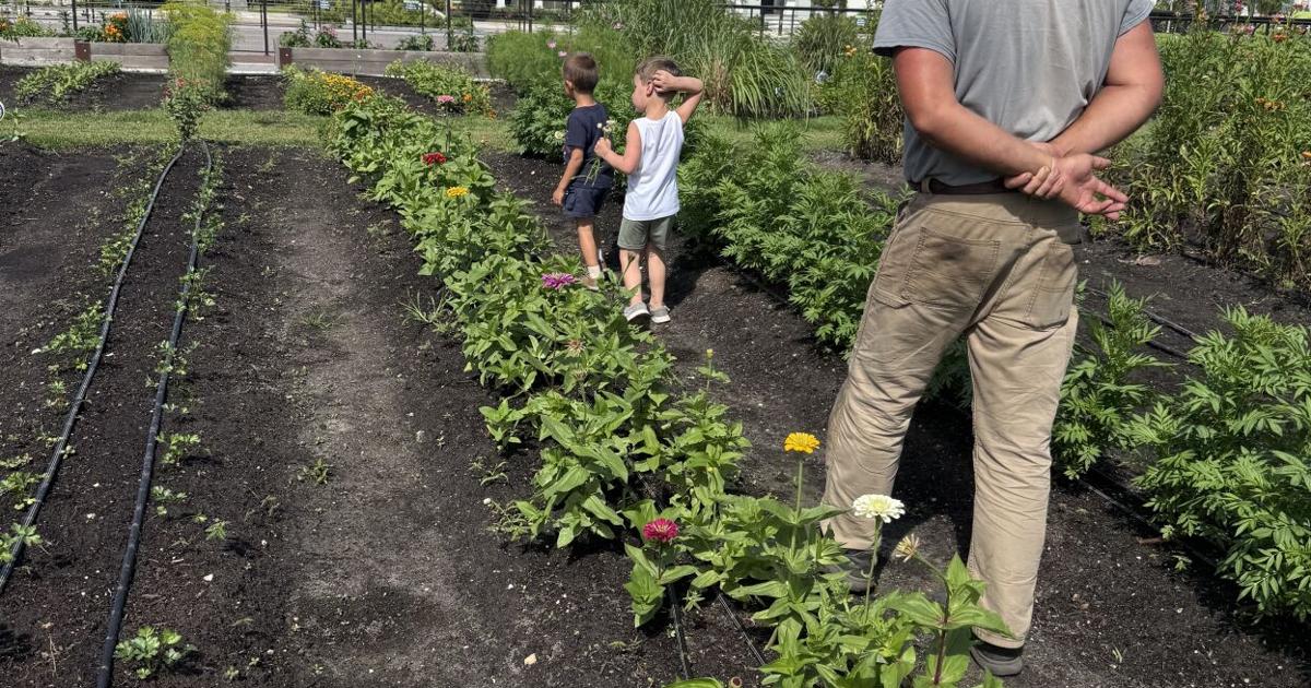 Newfield Farm was all abuzz during World Bee Day | Martin County