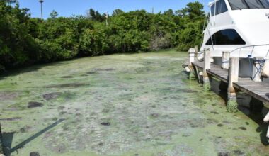 Countywide summer fertilizer ban begins June 1 | St. Lucie County