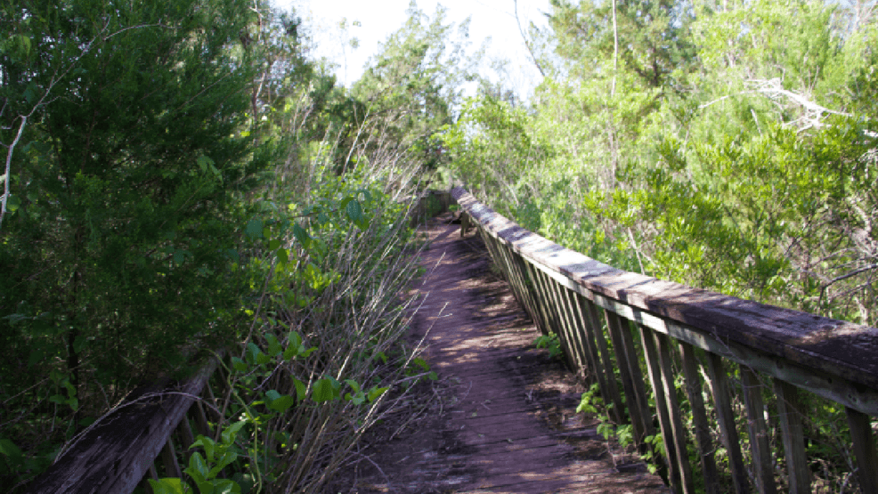 Jacksonville to remove damaged Northeast Creek Park boardwalk