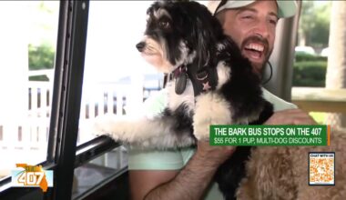 All Aboard the Bark Bus: A Tour of Orlando’s Canine Limo