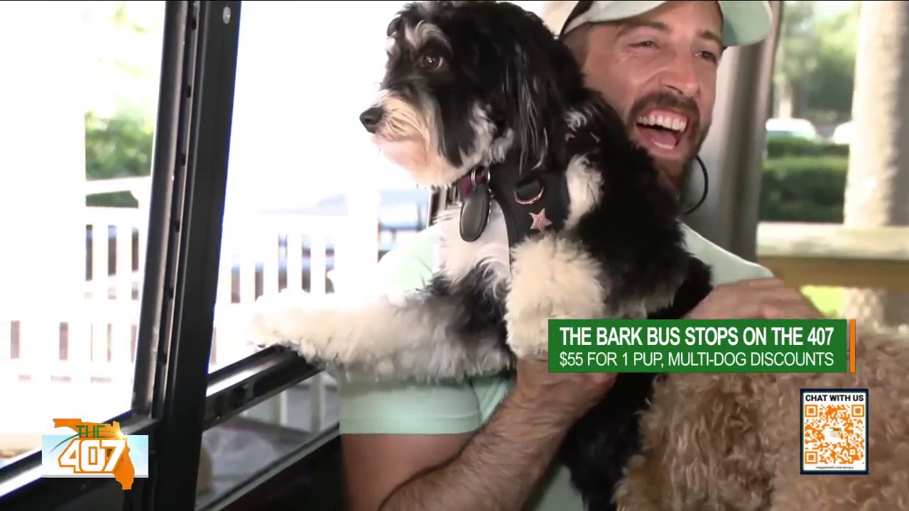 All Aboard the Bark Bus: A Tour of Orlando’s Canine Limo