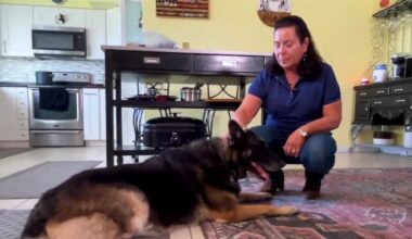 Retired Cape Coral woman finds purpose with her rescue dogs