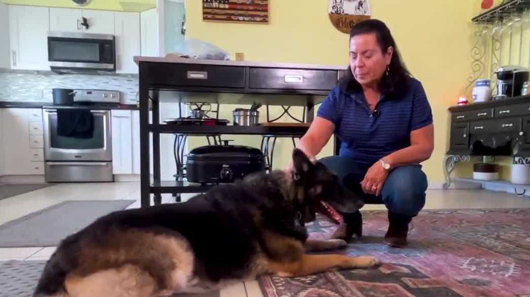 Retired Cape Coral woman finds purpose with her rescue dogs