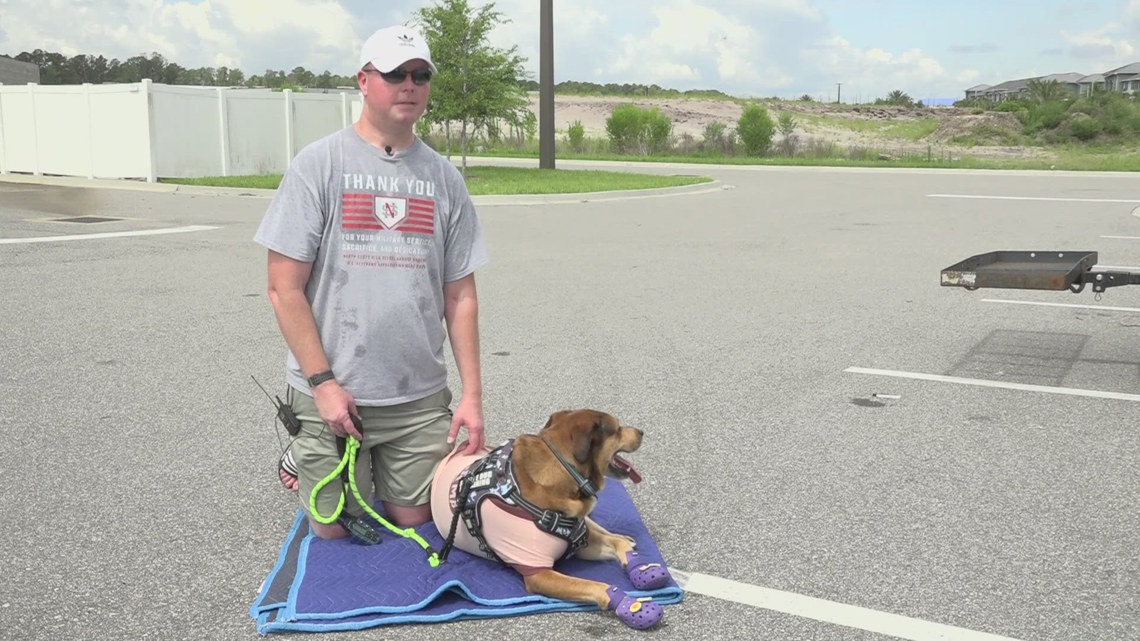 'Overwhelmed with emotions': Navy veteran speaks after being reunited with missing service dog