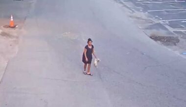 Disturbing video shows Florida woman throwing and kicking a dog