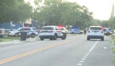 1 hospitalized after shooting in St. Petersburg; police investigating
