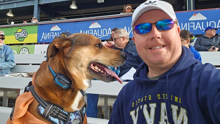 Navy veteran's search intensifies for injured service dog missing in Jacksonville