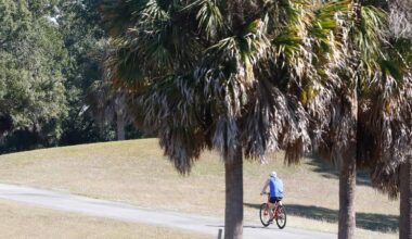 Lawn watering takes a toll on Tampa homeowners’ budgets