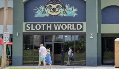 Florida suspends sloth imports amid Sloth World debacle