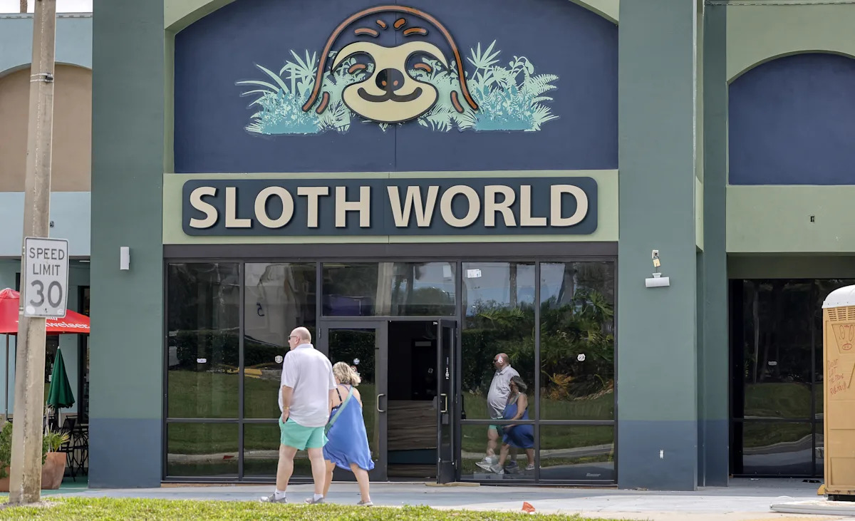 Florida suspends sloth imports amid Sloth World debacle