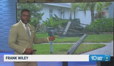 10 Tampa Bay News at 12:00 pm