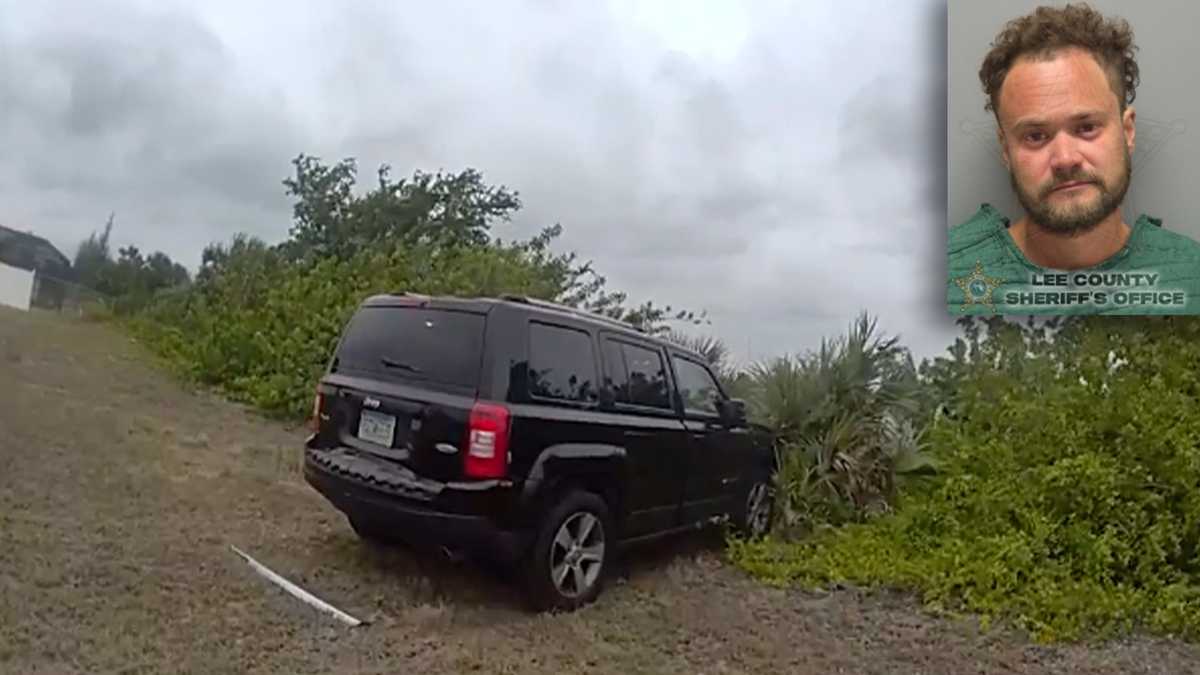 Florida man faces DUI charges after crash, attempted escape through canal