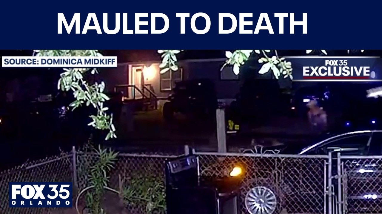 Florida woman attacked, killed by 2 neighborhood dogs