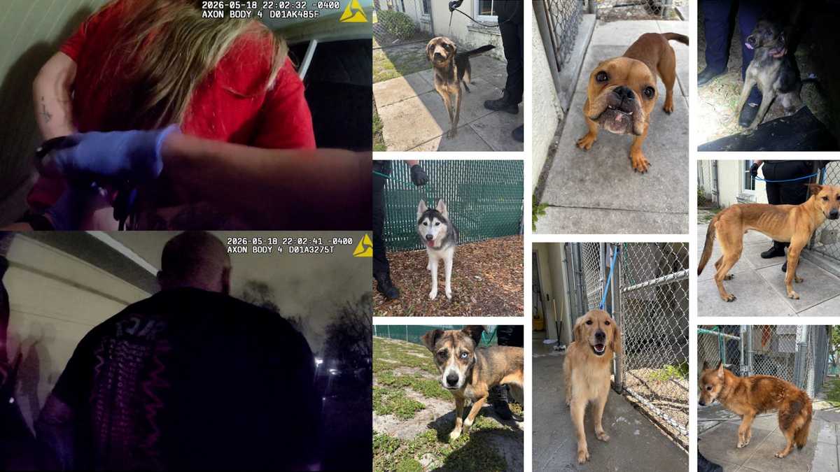 BODYCAM: Florida couple accused of starving dogs