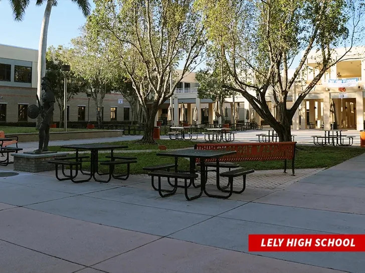 lhs.collierschools.com