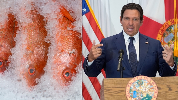 Florida secures massive expansion of red snapper season on the Atlantic Coast