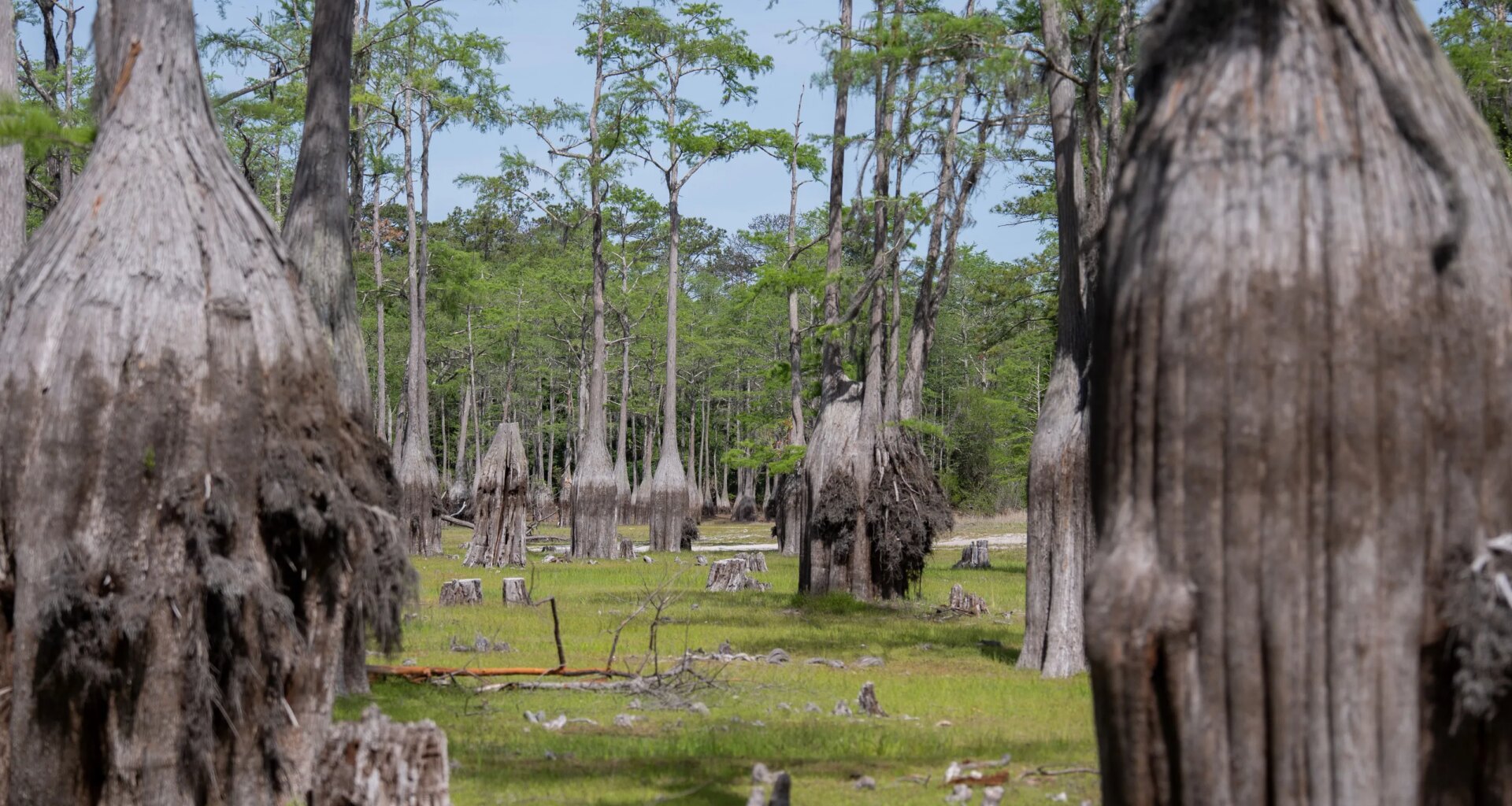 Tallahassee drought remakes Lake Jackson, Cascade Lake