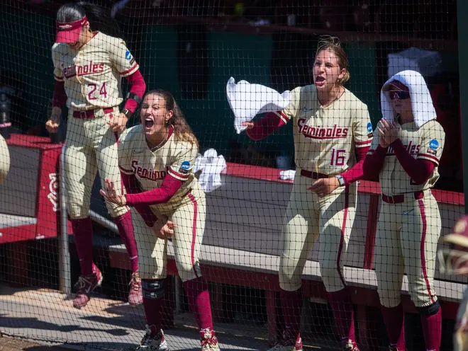 Florida State Seminoles celebrate a run. UCF Knights celebrate their victory after they defeated the Florida State Seminoles 4-2 in the final game of the NCAA Tallahassee regional finals Sunday, May 17, 2026.