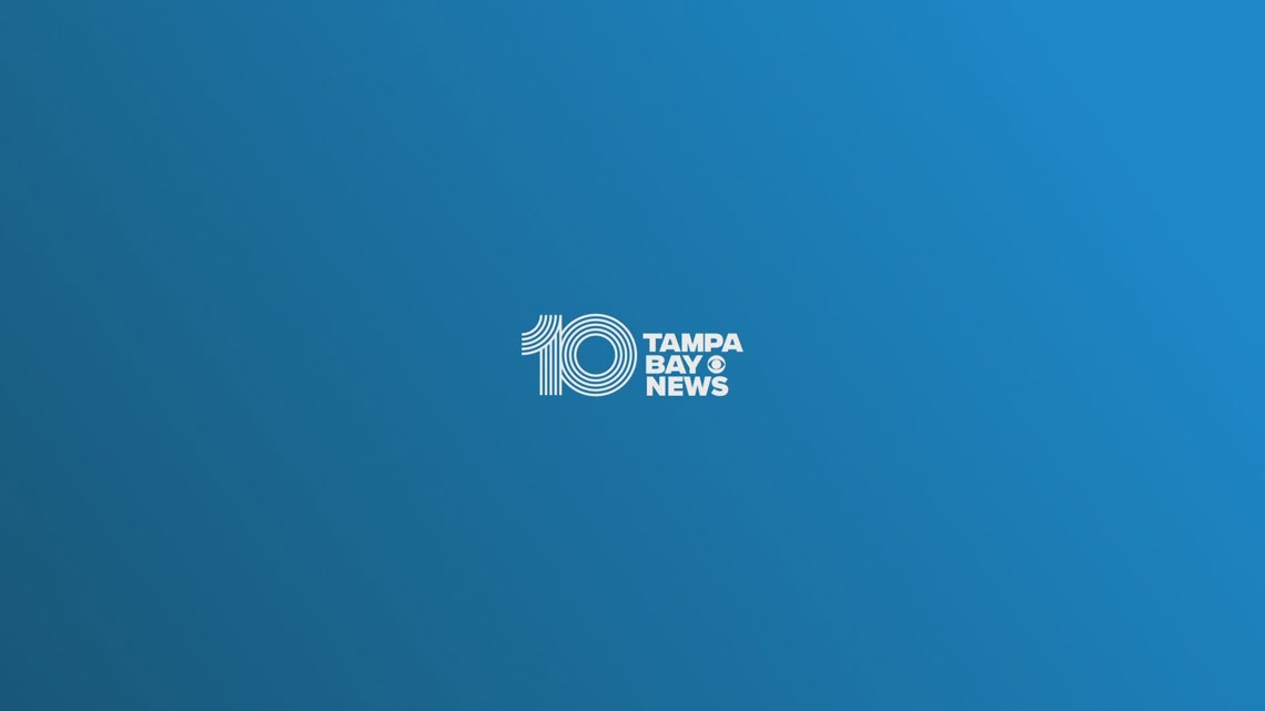 10 Tampa Bay News at 8:00 am