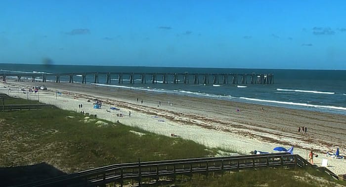 Seaweed City: Sargassum washing up in piles on local beaches