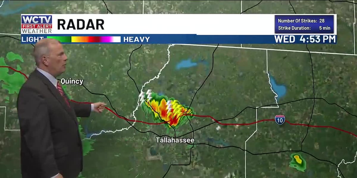 Staying summer-like for your holiday weekend for Tallahassee, the Big Bend and South Georgia! 😎