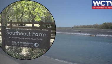 Tallahassee wastewater spray field not a significant contributor to PFAS contamination, testing reveals
