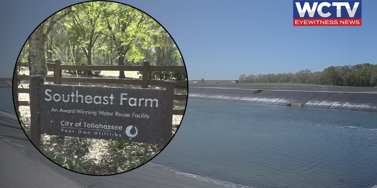 Tallahassee wastewater spray field not a significant contributor to PFAS contamination, testing reveals