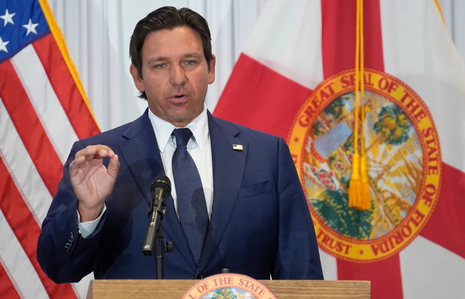 Florida Governor Ron DeSantis during a news conference on August 12, 2025, in Tampa, Florida. (AP Photo/Chris O'Meara, File)