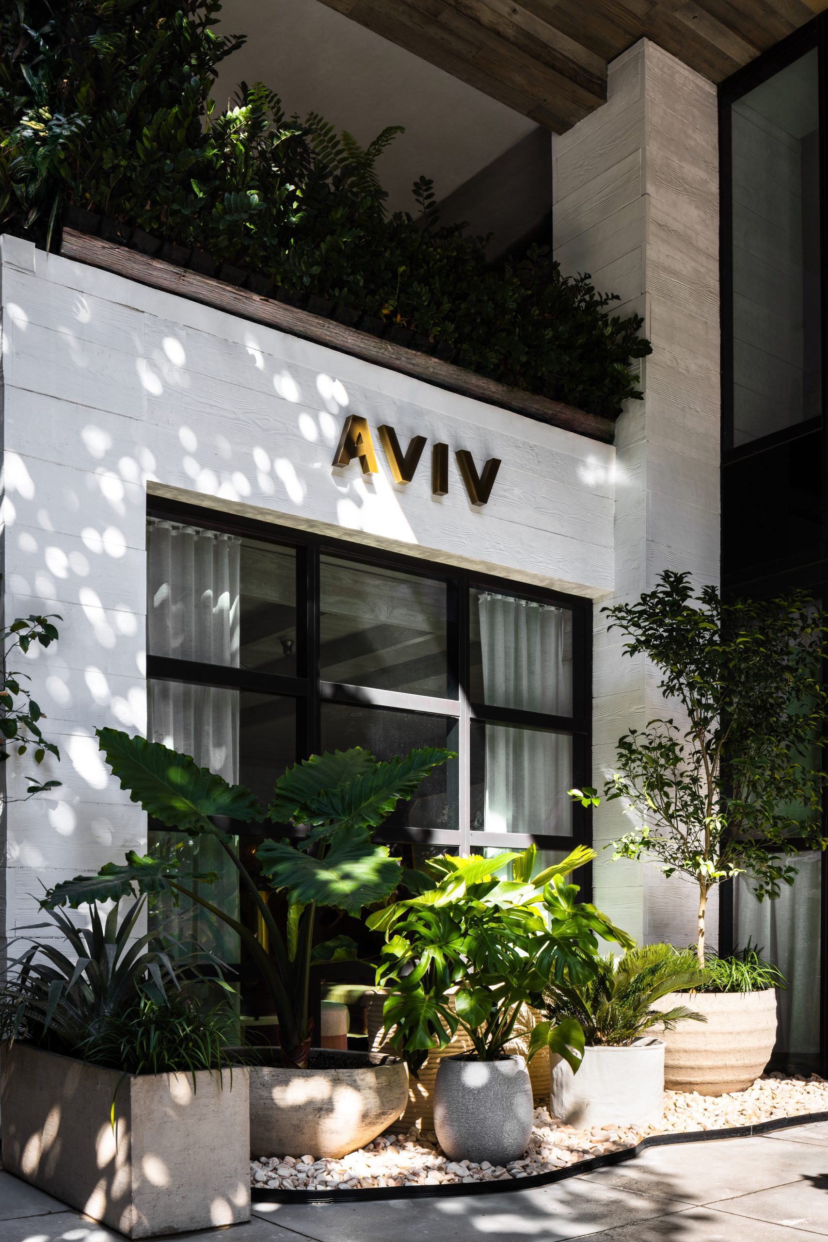 How 1 Hotel South Beach Has Remained the Standard for Luxury in Miami Beach