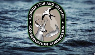Over $400K settlement reached for FWC biologist fired for Charlie Kirk social media post